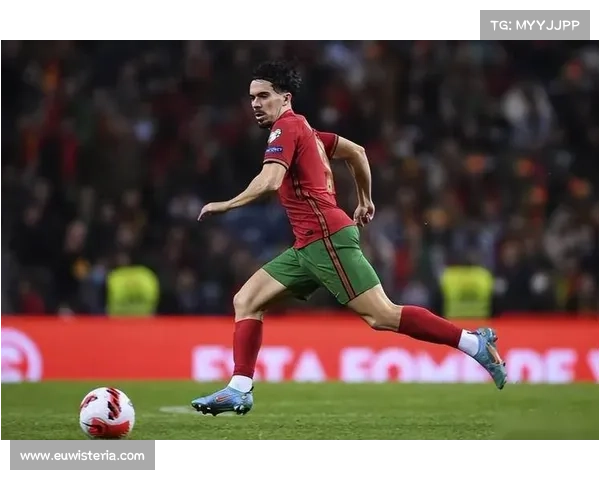 全面盘点葡萄牙球队名称与历史渊源及传统文化特色深度权威指南册