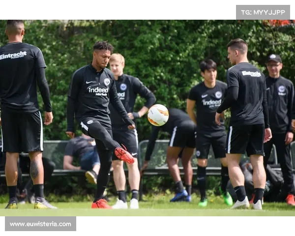 加的夫城足球队所属联赛详解及历史发展全方位指南